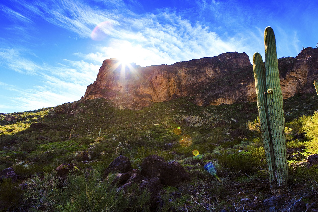 庙山最新招聘动态及其地区影响分析