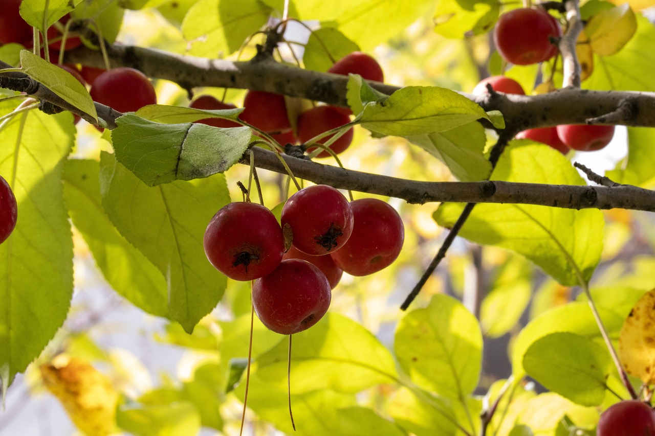 冯巩最新动态,文化光芒持续闪耀