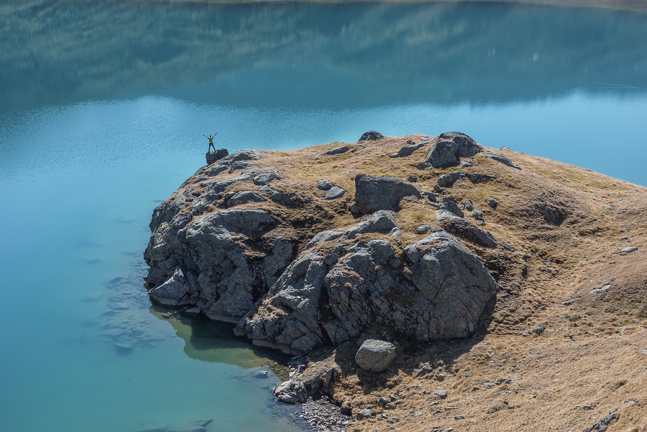 沪牌最新动态,政策调整与市场深度分析
