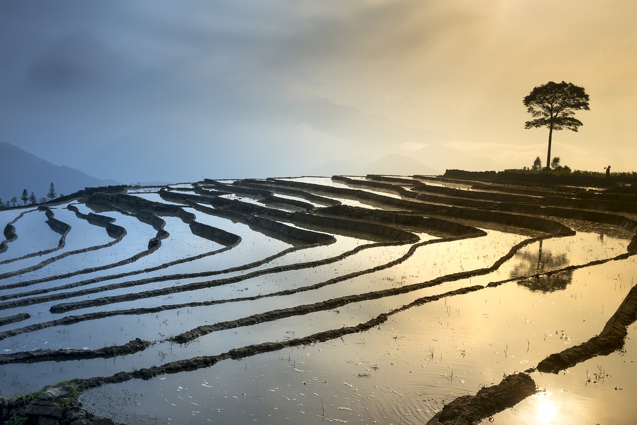 狮山博爱湖最新动态,生态修复与未来发展规划揭秘