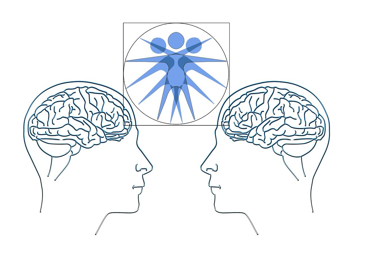 无生老母最新动态,神秘面纱下的新启示