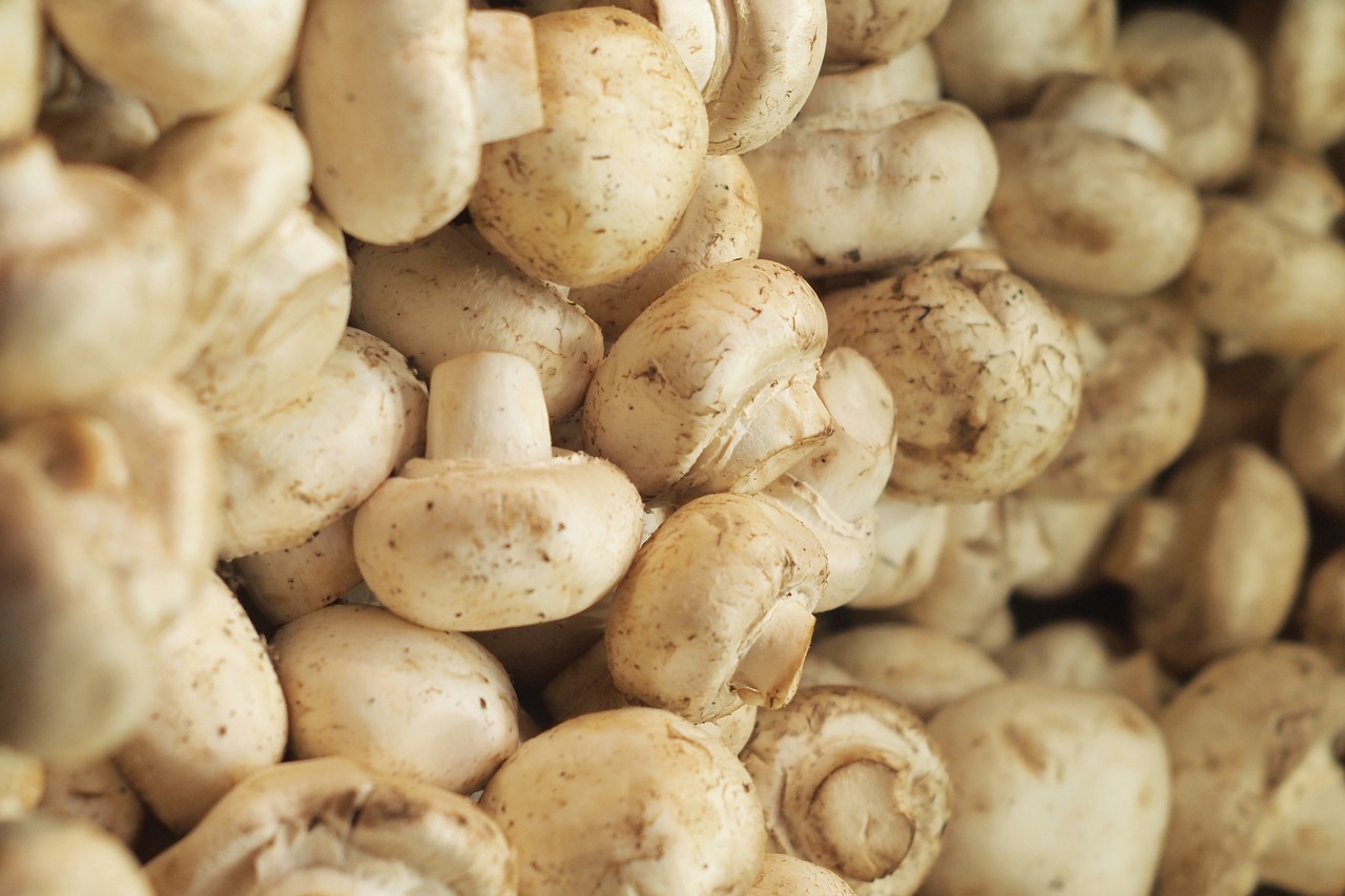 杭州禽流感最新动态,全面应对,科学防控