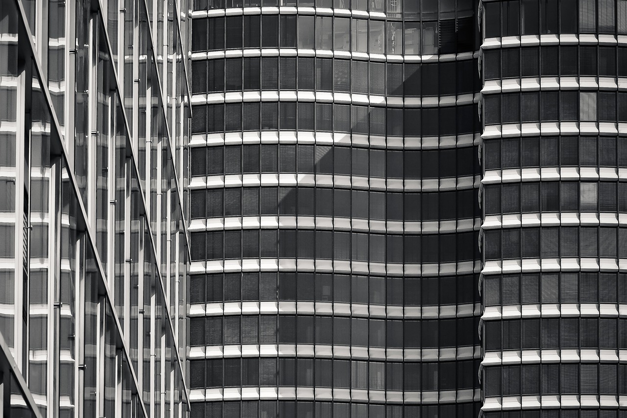 安徽小麦价格最新行情分析与趋势预测