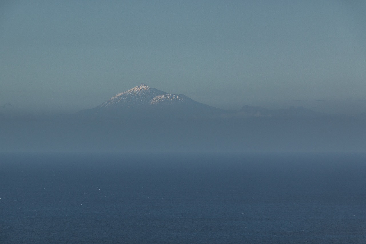 国仕山最新动态全面解析