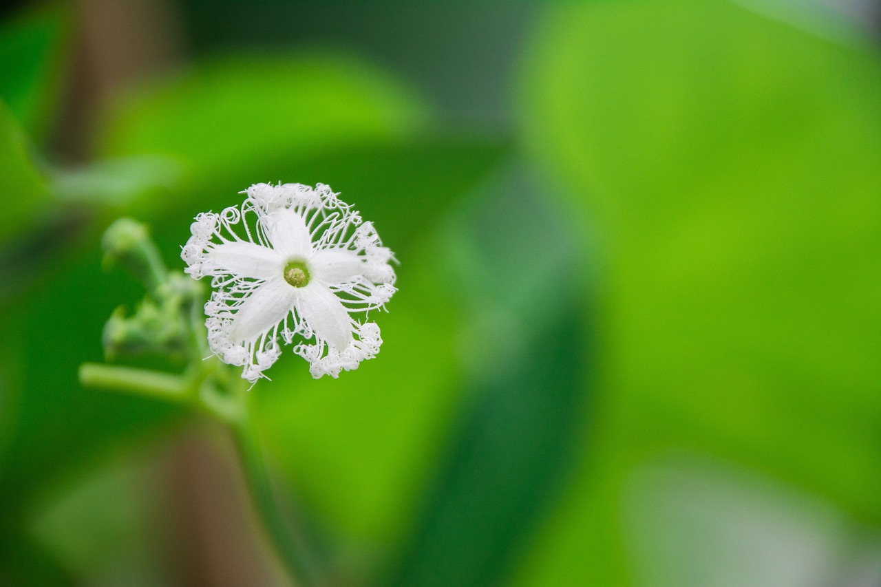 微信早安心语精选,温暖启动美好一天,开启你的2018年问候之旅