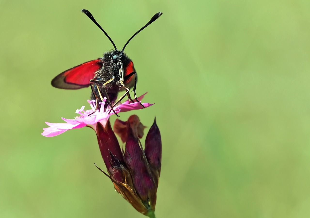 万州区最新人事任免及动态更新