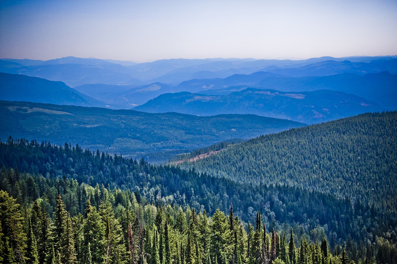 吉林省纪检最新动态全面解读