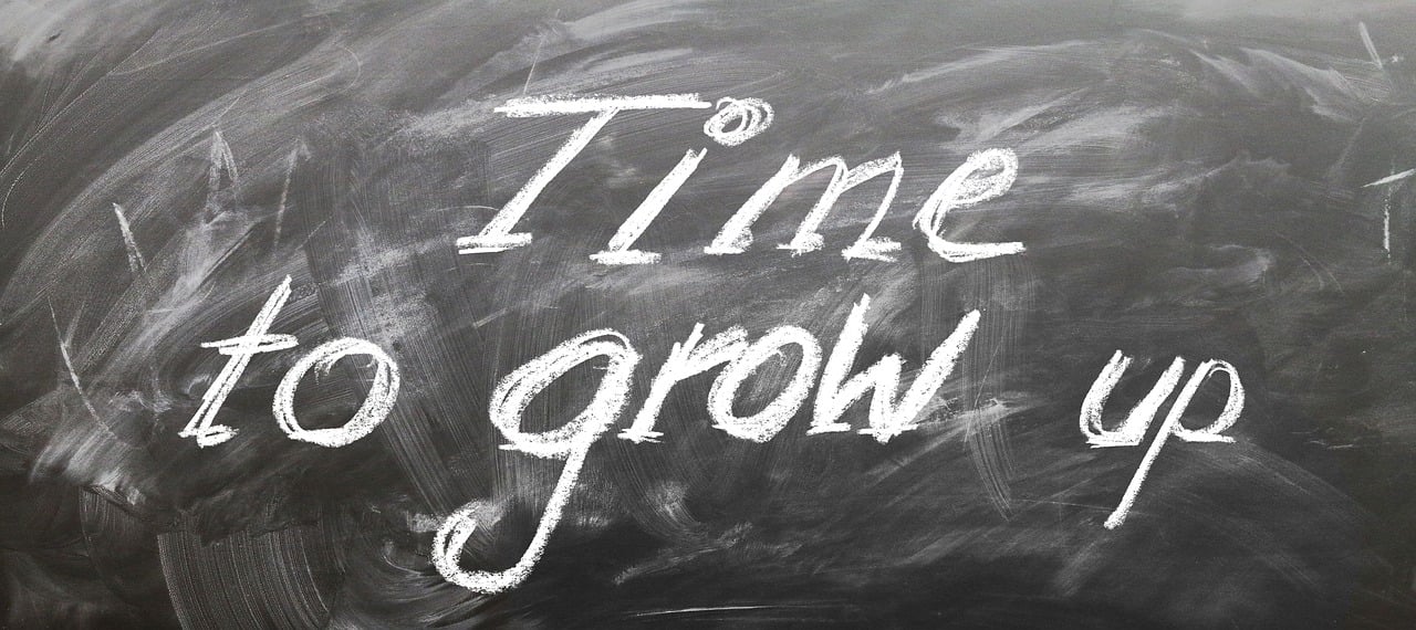 我的校长生涯最新章节,探索与成长的旅程