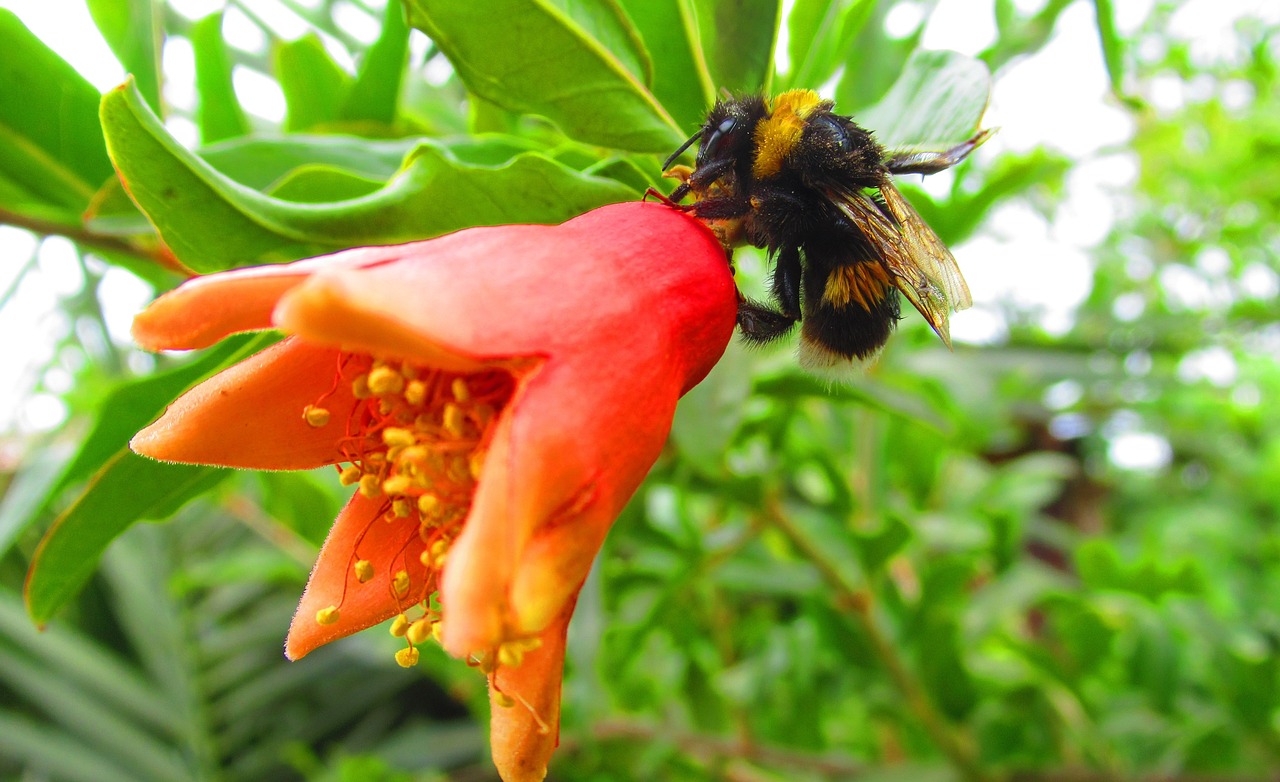 最新个税改革方案消息深度解读与动态更新