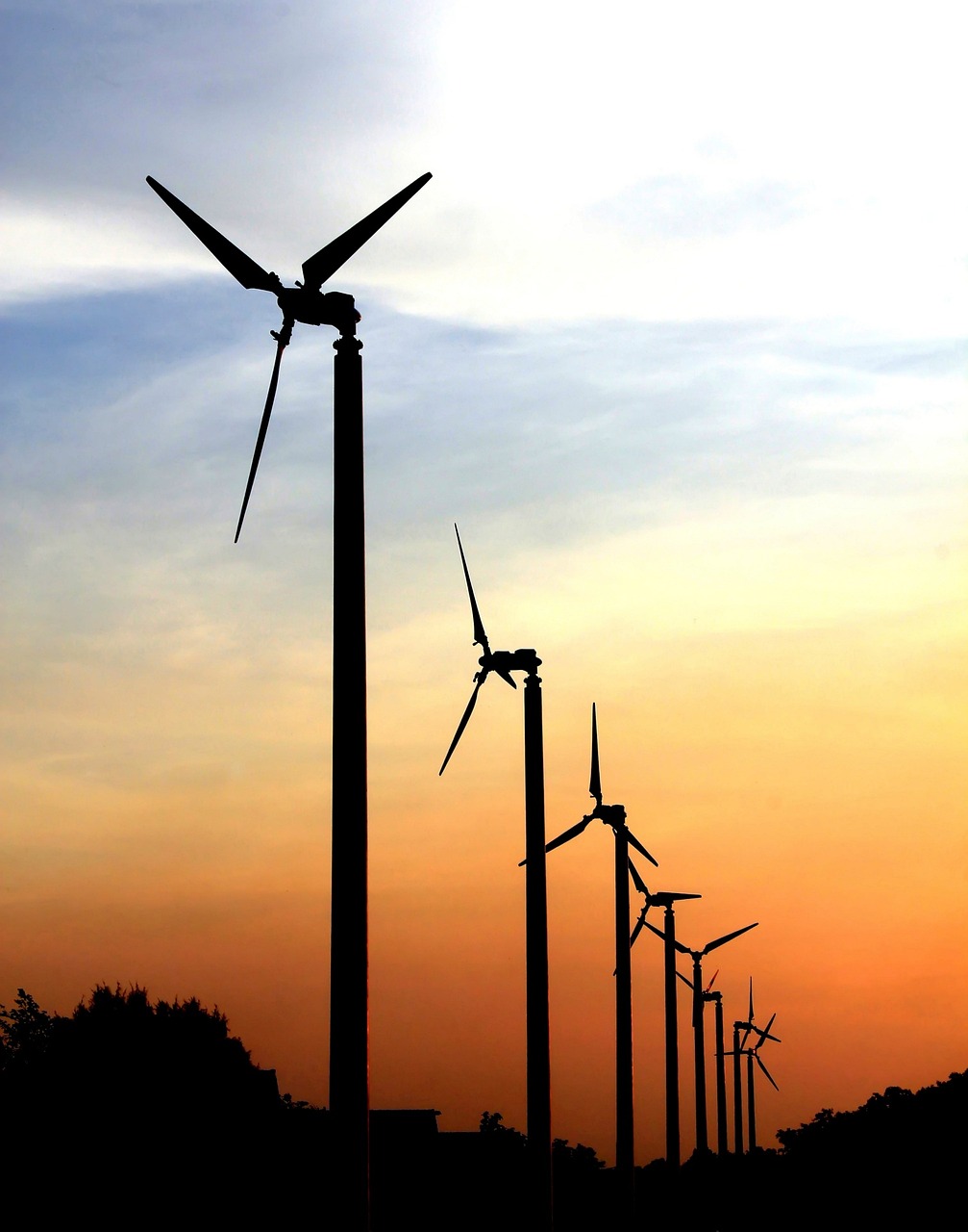 最新大豆品种,推动农业创新与可持续发展的核心驱动力