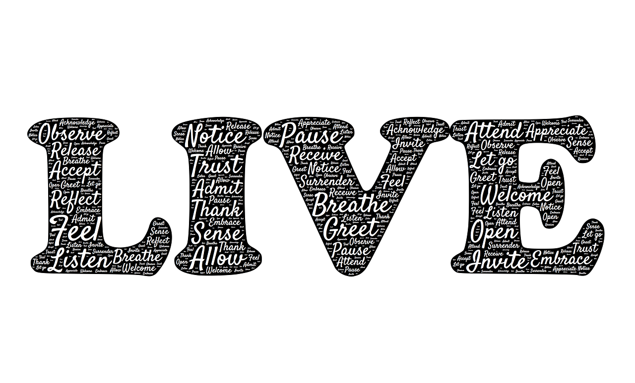 普法栏目——探索法治社会最新动态与启示(2017年观察报告)