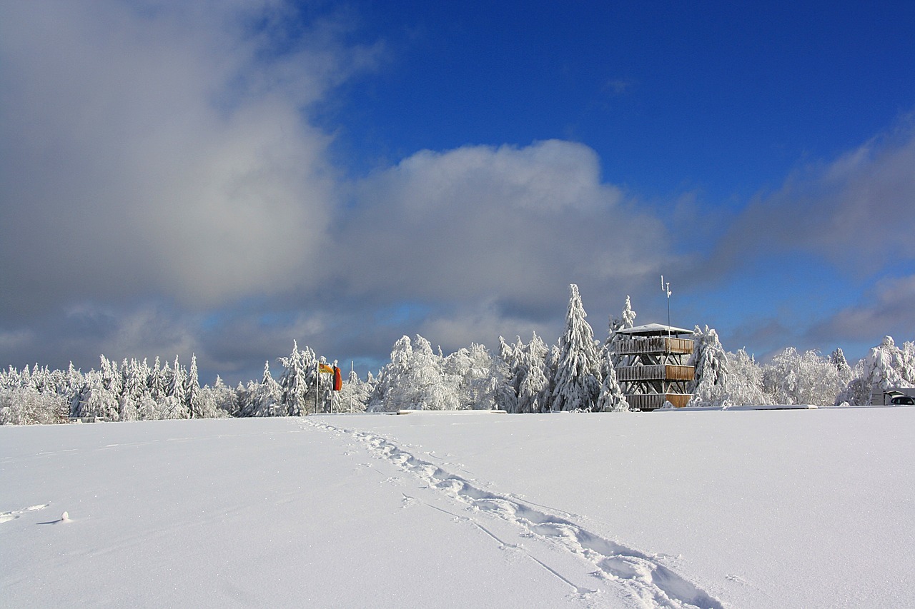 山手栞最新动态,探索未来,展现无限魅力