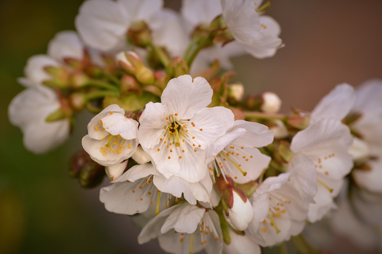 中印对峙局势更新,最新新闻报道与动态分析