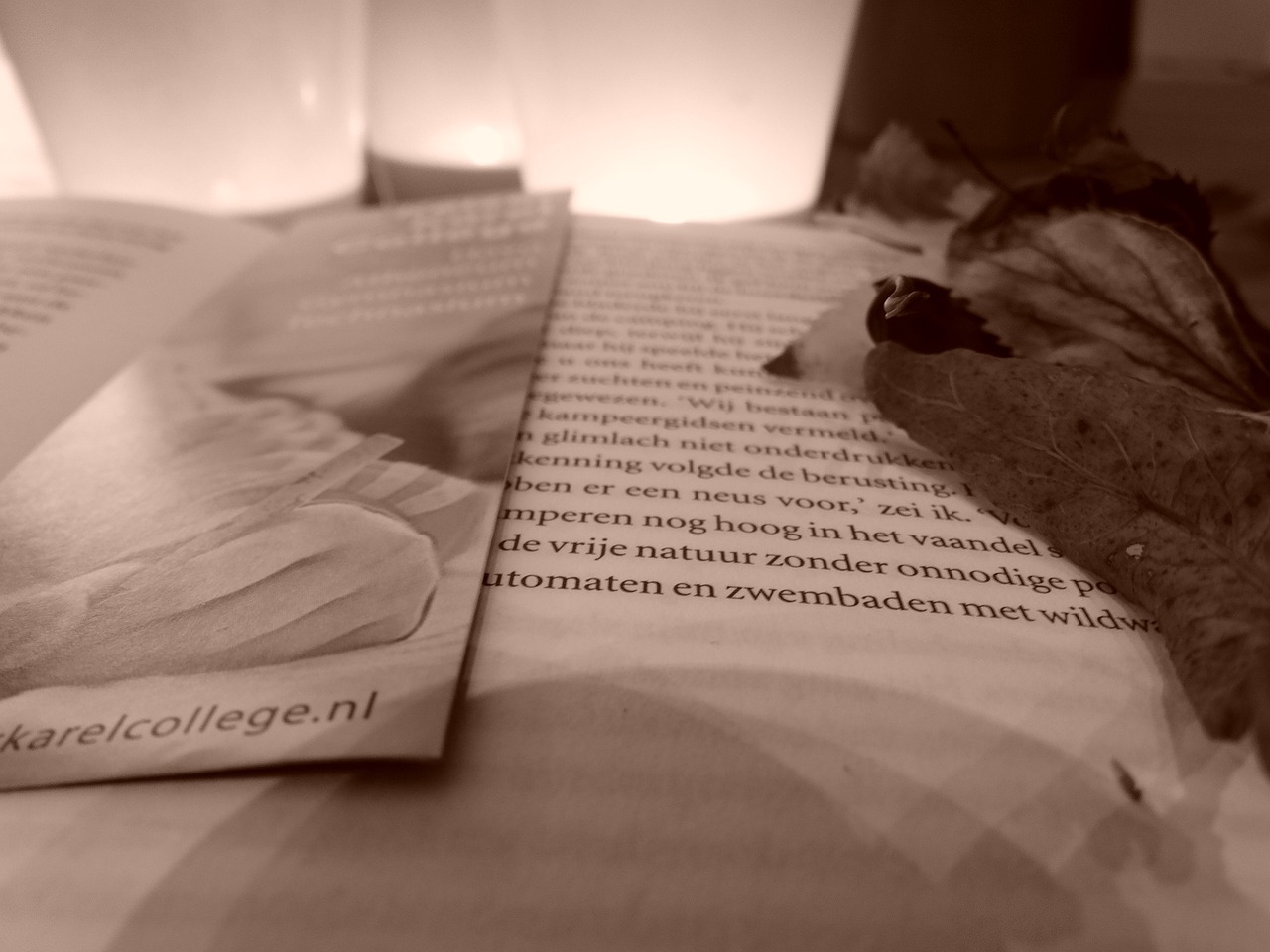 最新出版小说概览,探索文学的新疆界