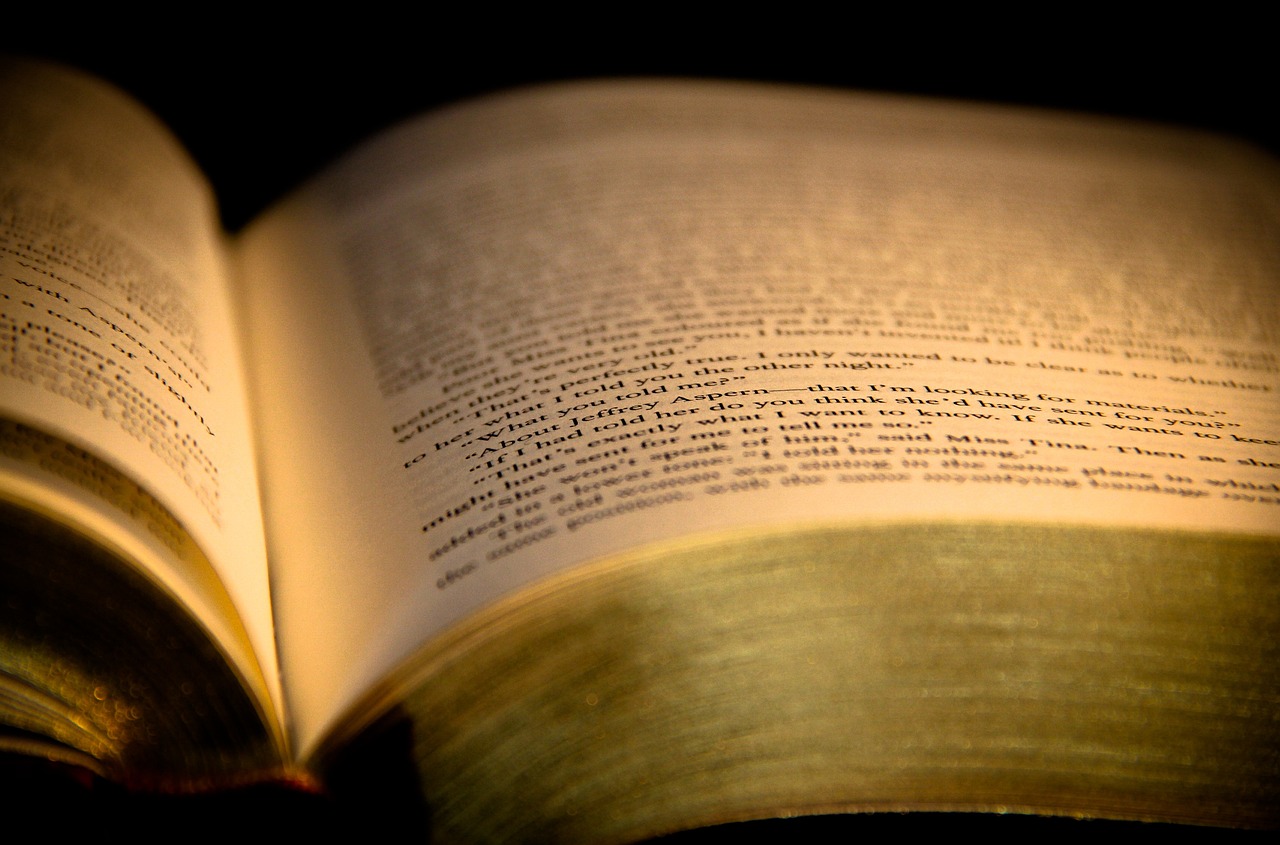 最新出版小说概览,探索文学的新疆界