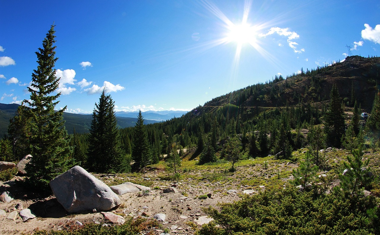 临猗灵通资讯招聘最新动态及职业发展探讨