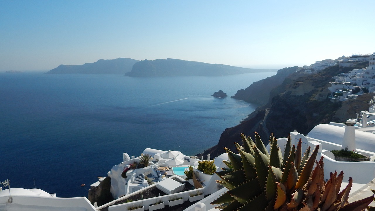 大北农集团最新动态全面解析