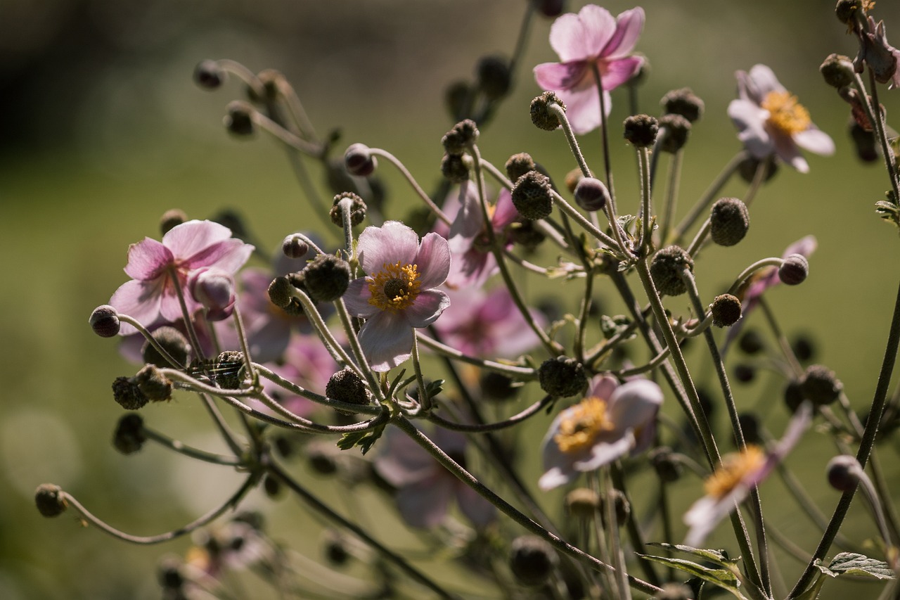 郑州利率调整最新动态,影响、趋势与应对策略揭秘