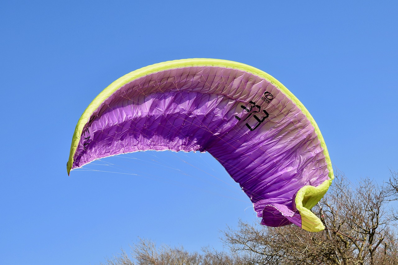 最新娱乐热点揭秘,探索娱乐圈新动态与热门话题