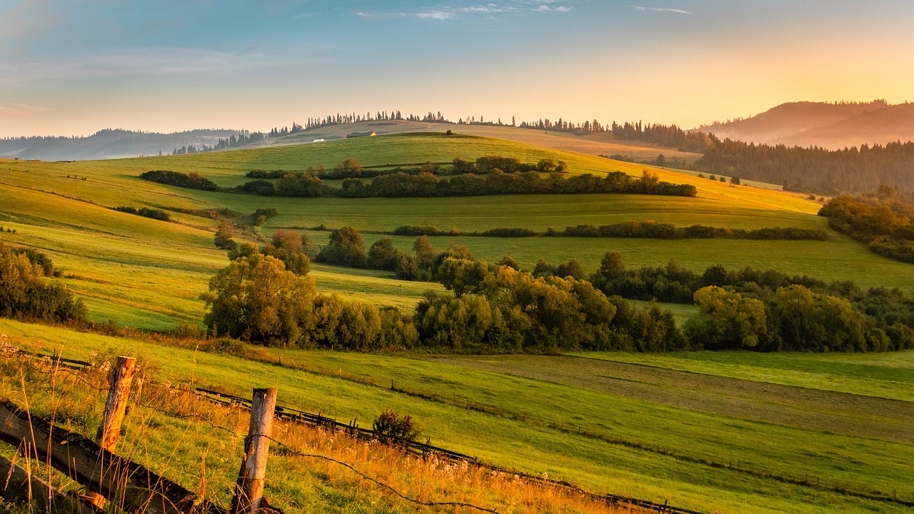 白石悠最新,艺术与自然融合的无限探索