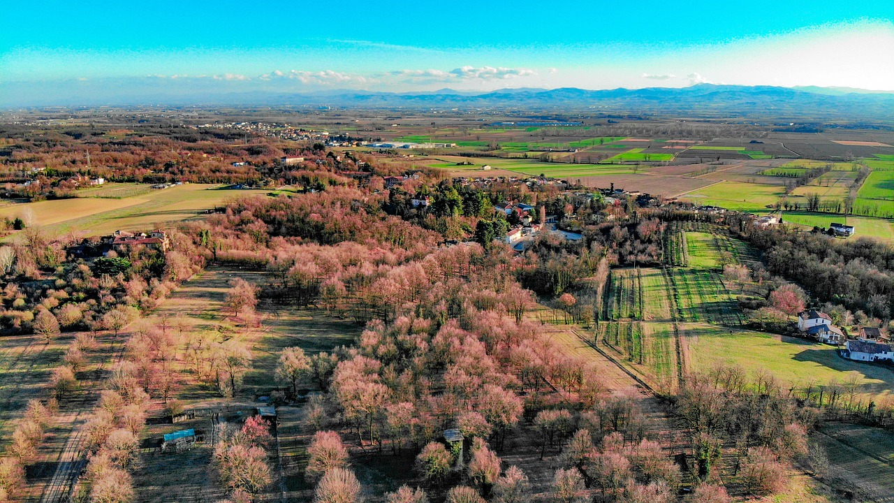梁山最新新闻,历史文化旅游区蓬勃发展