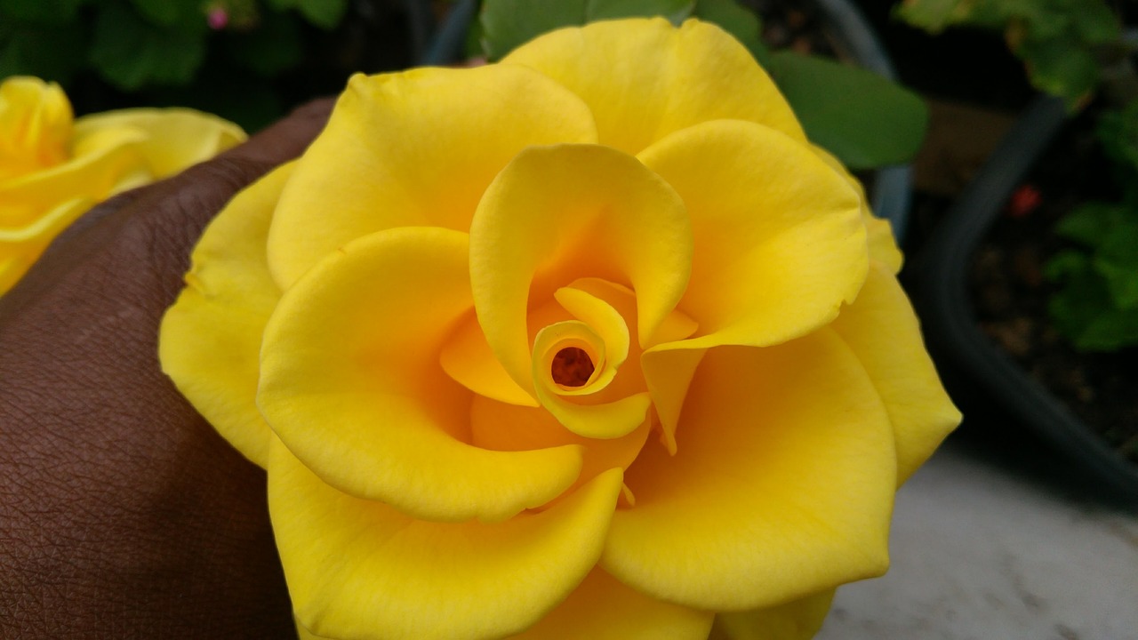 善心汇最新动态及新闻报道更新