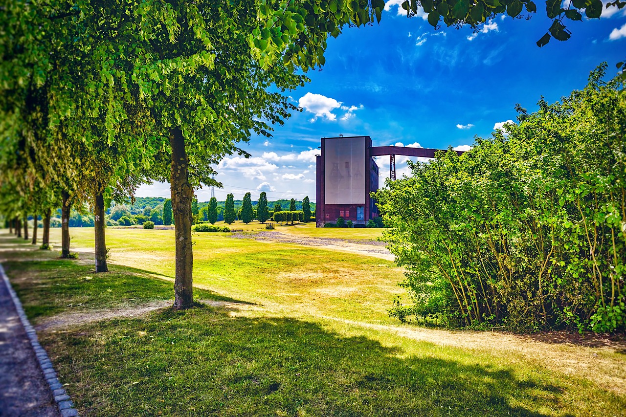 包头北沙梁最新动态,城市发展的绿色篇章新进展