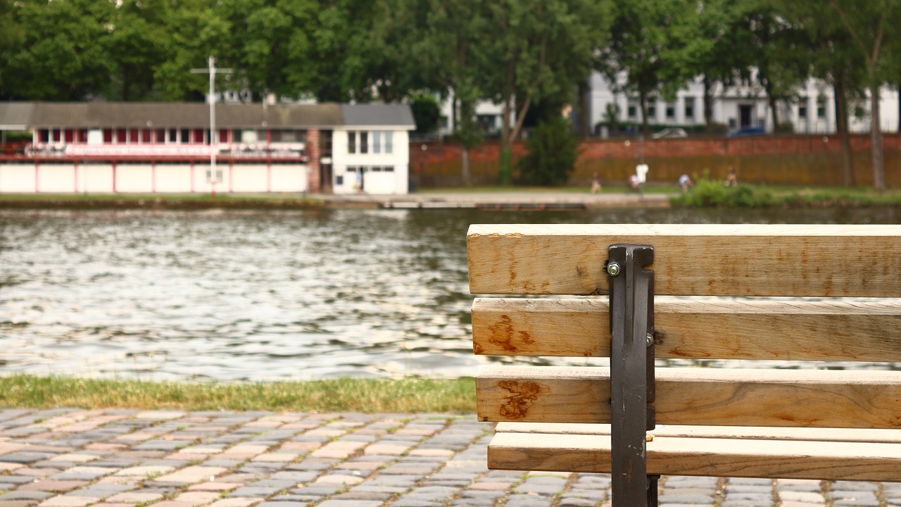 嘉都最新动态,城市发展的脉搏与未来展望