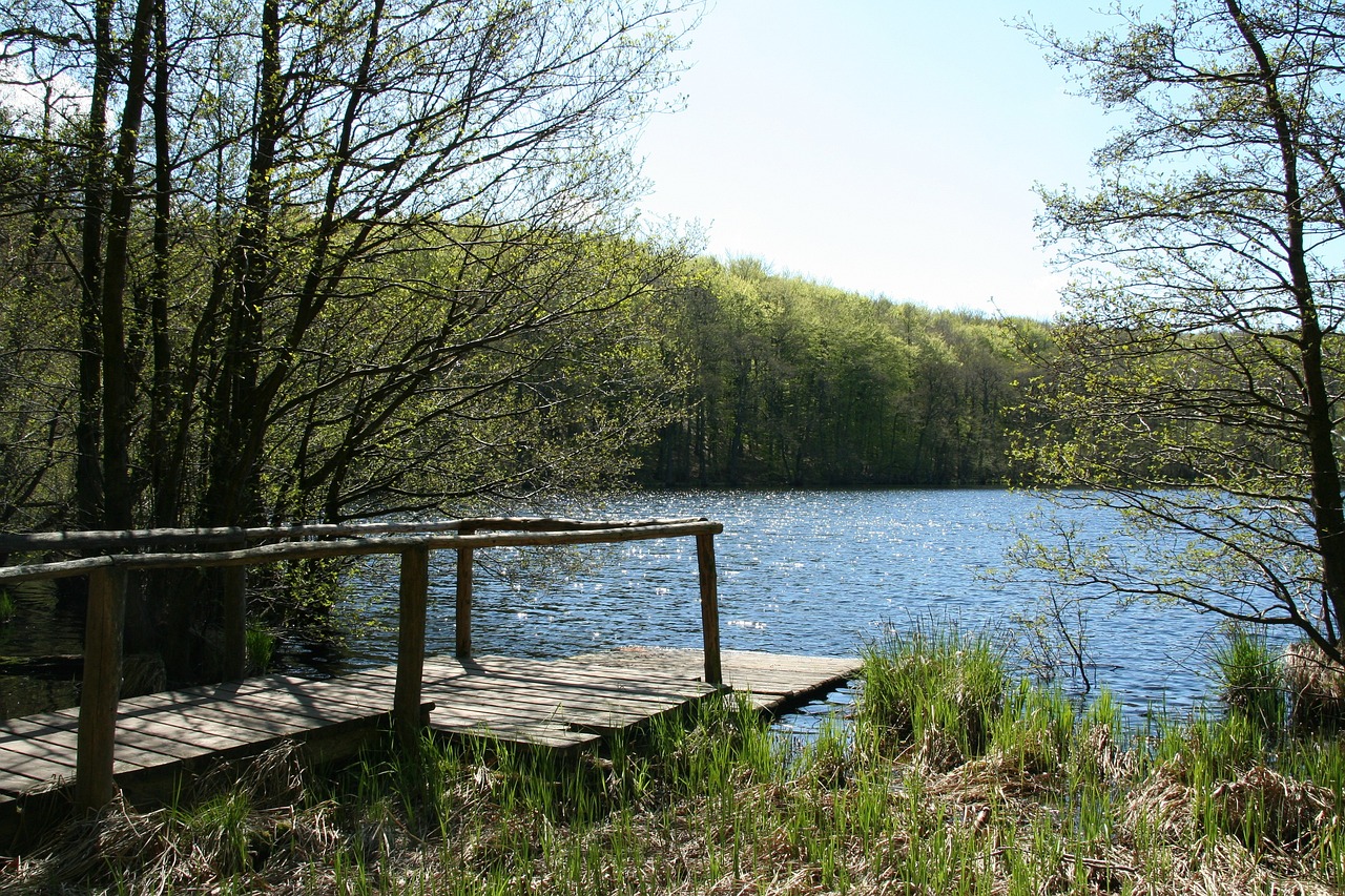 绿湖国际最新房价动态及趋势分析