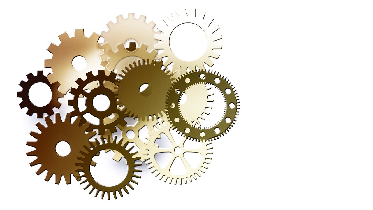 新疆最新事业单位招聘动态及其社会影响分析