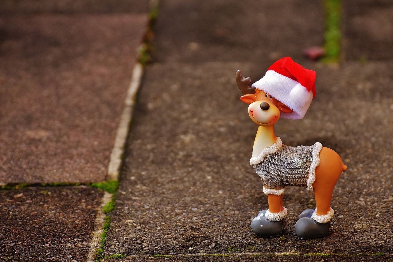 武清区最新人事任免动态公布