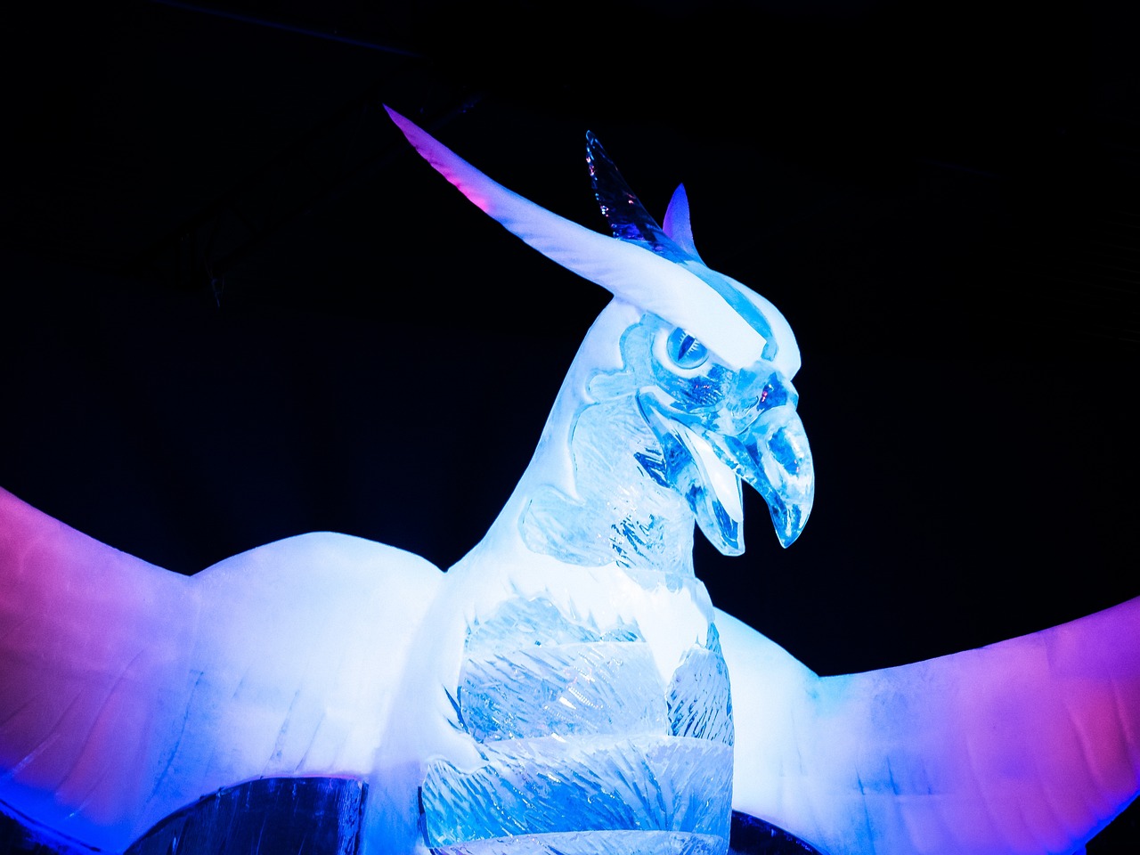 杨丽萍广场舞2017最新风尚展现,舞动新时代的风采