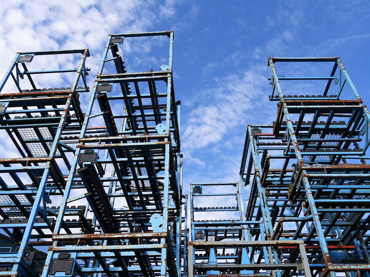 南京禽流感最新动态,全面防控,保障人民健康安全