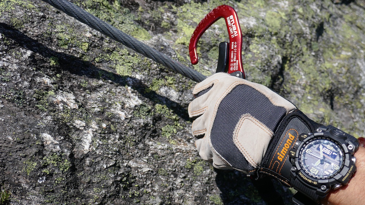 南京禽流感最新动态,全面防控,保障人民健康安全