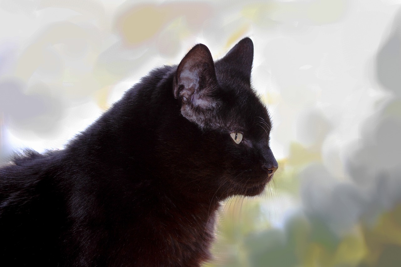 台风妮妲最新动态,影响及应对措施全面解析