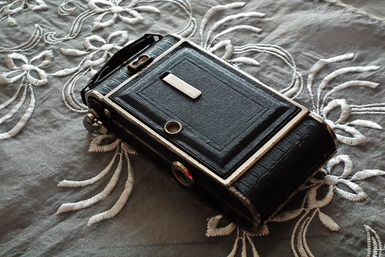 山东安丘大姜最新价格动态分析与行情概述