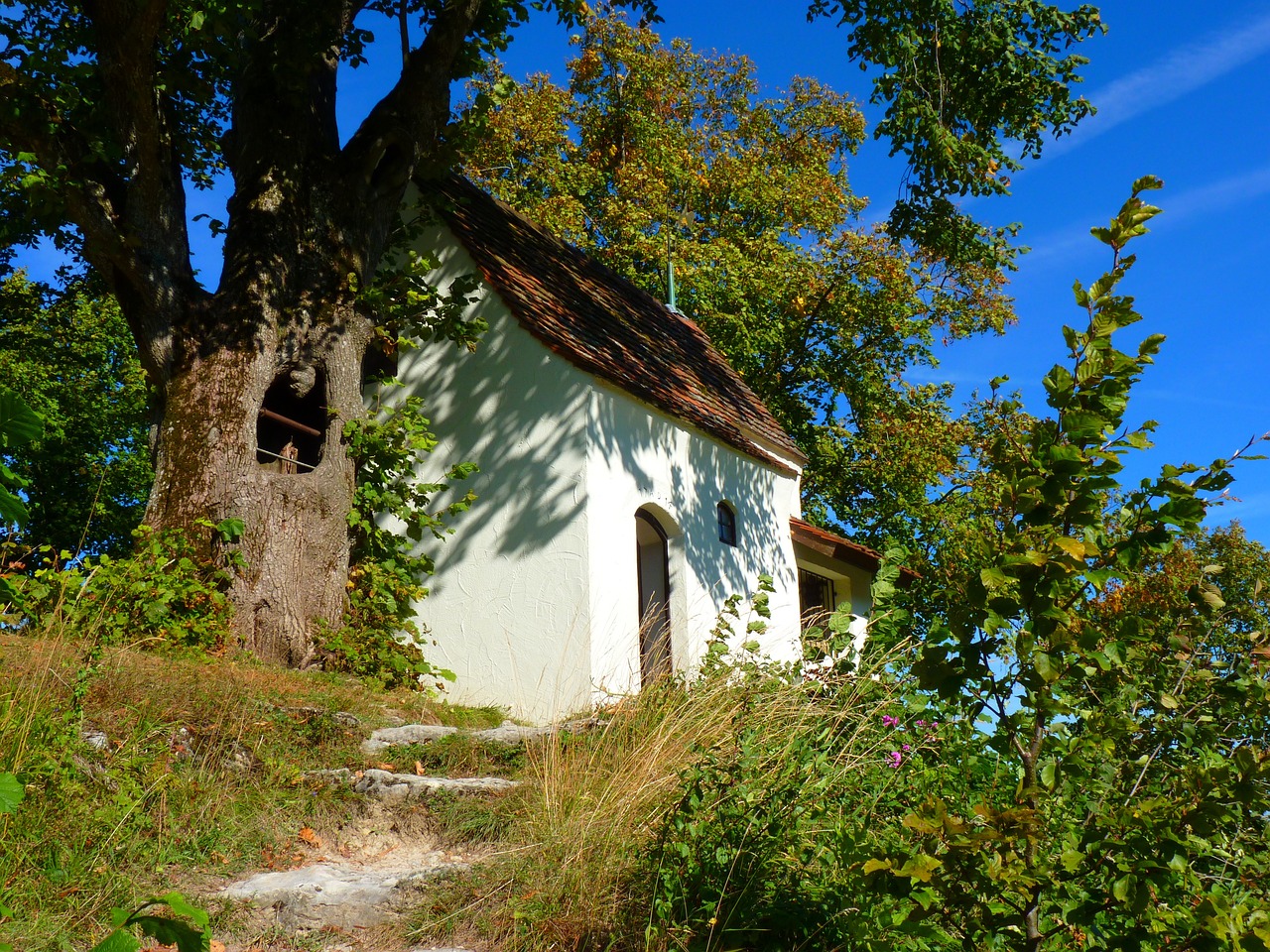 绵阳机场迁建最新动态,深度解析迁移进展与影响