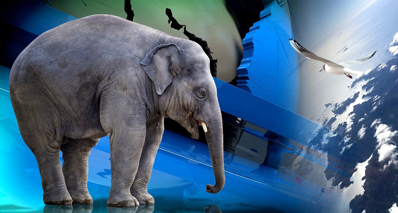 沙特与也门最新动态,地区影响及形势分析