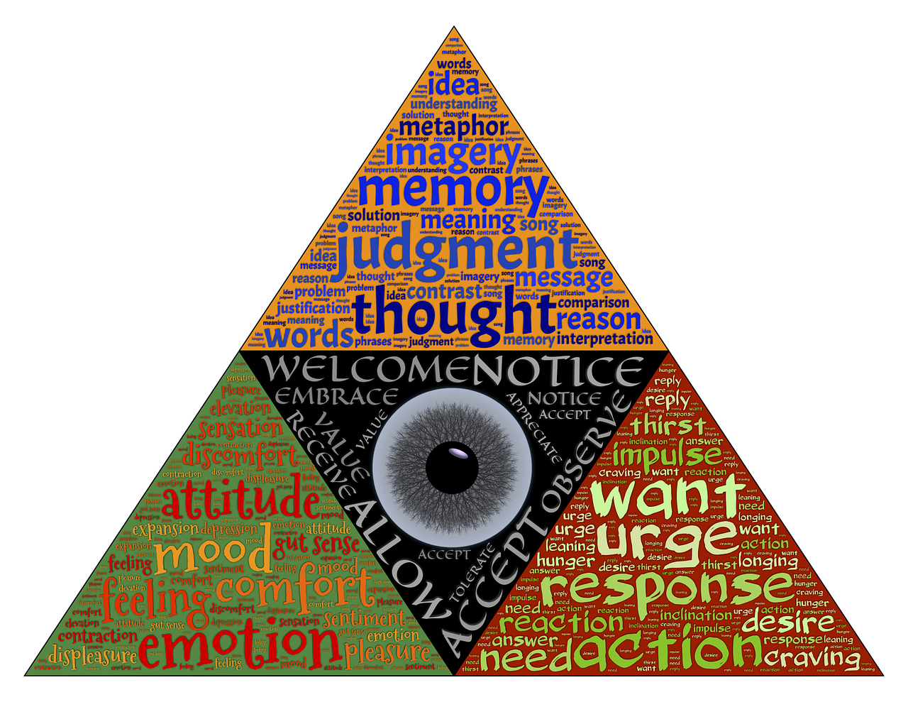 沪C牌照解禁最新消息通知,禁令解除动态揭秘