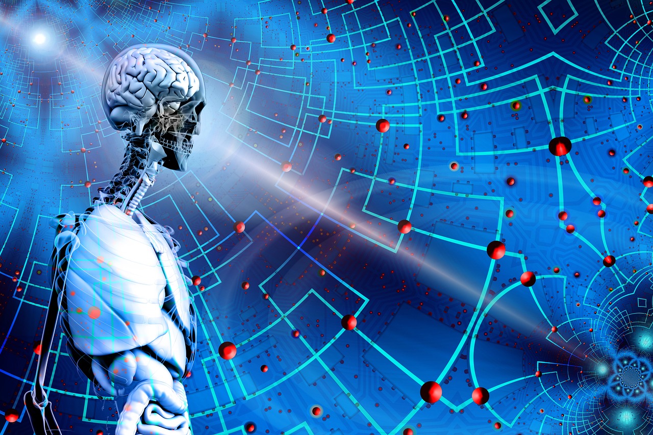 怪盗基德最新出场集数,魅力与智慧的完美展现