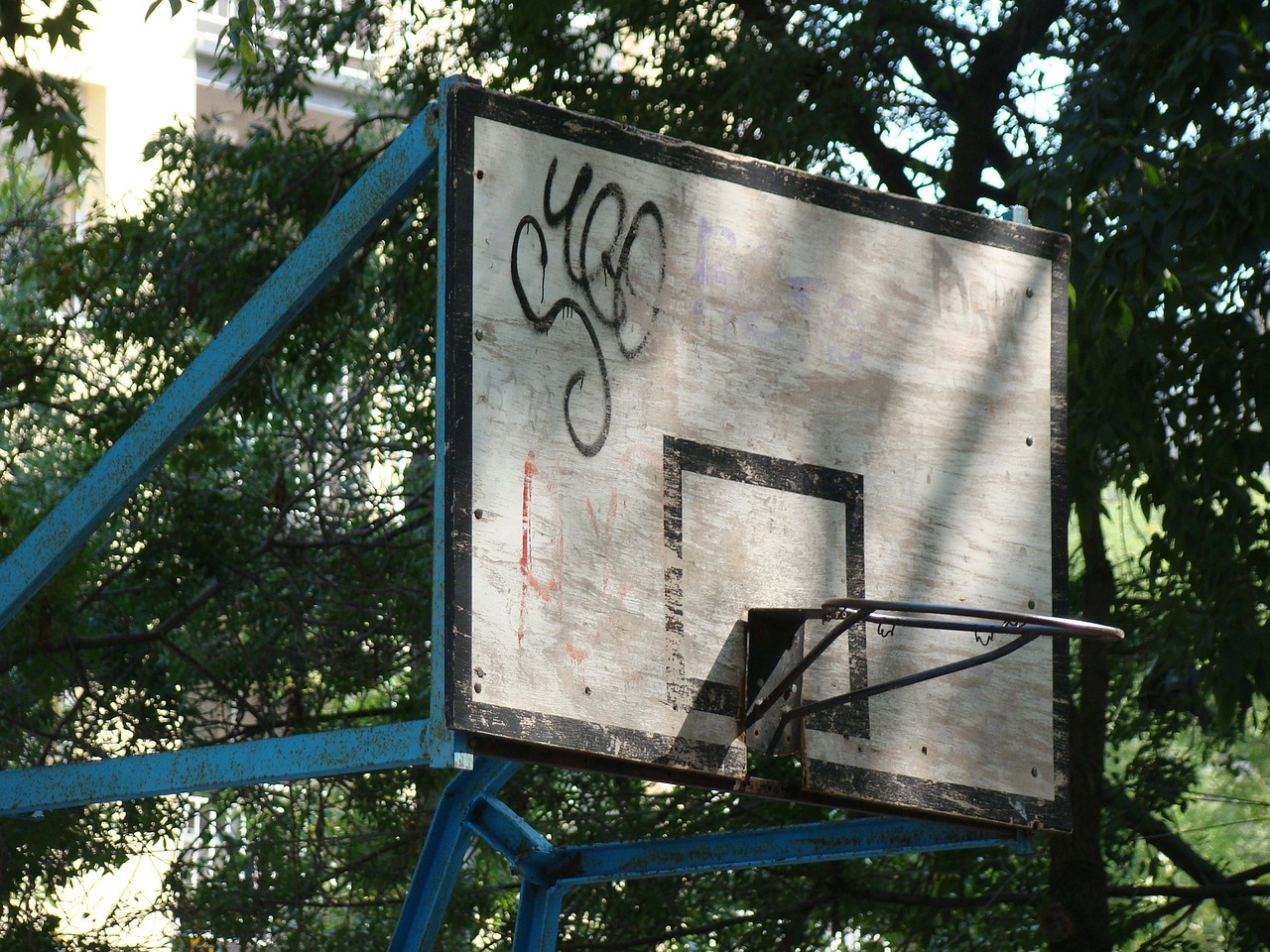 武汉扫黑除恶最新动态全面解析