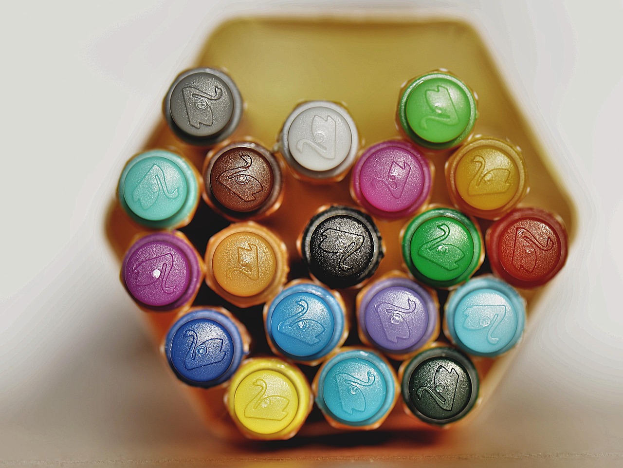 山农大公棚迈向新时代,农业科技创新与发展的最新动态