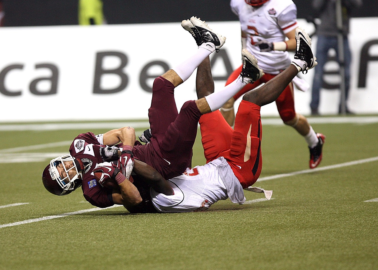 中国乒乓球队最新动态全面解析