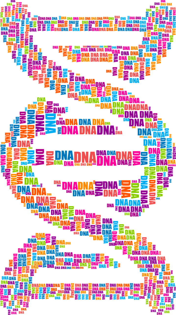 儿科最新药物研究进展与应用概述,创新药物在儿科领域的应用概述