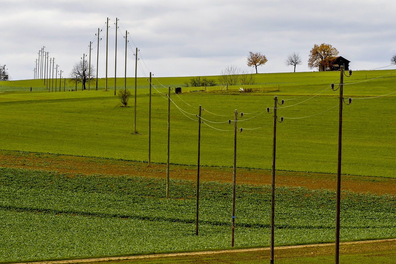 最新地笼技术,高效养殖的未来之选