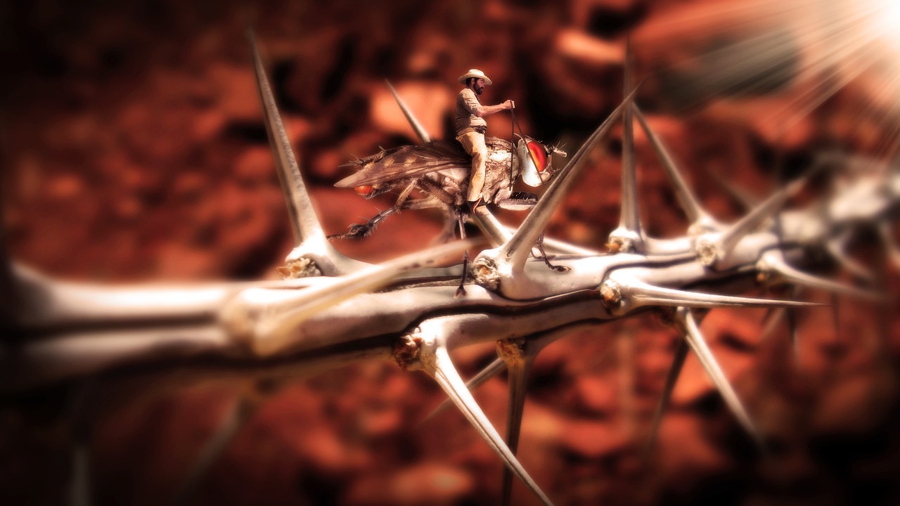 闪烁最新小说,奇幻世界的未知探索