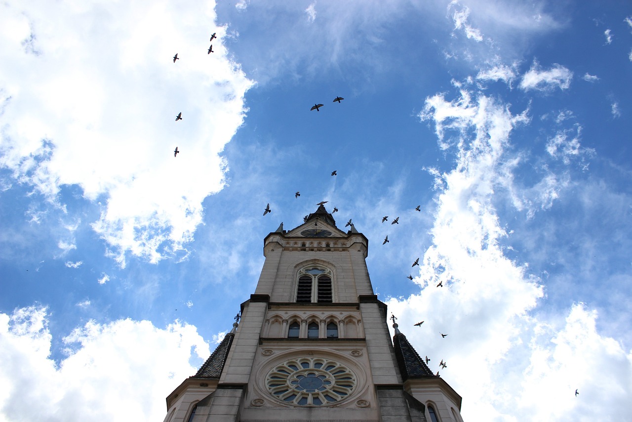 澳门最新攻略,多元文化美食天堂与旅游胜地探索