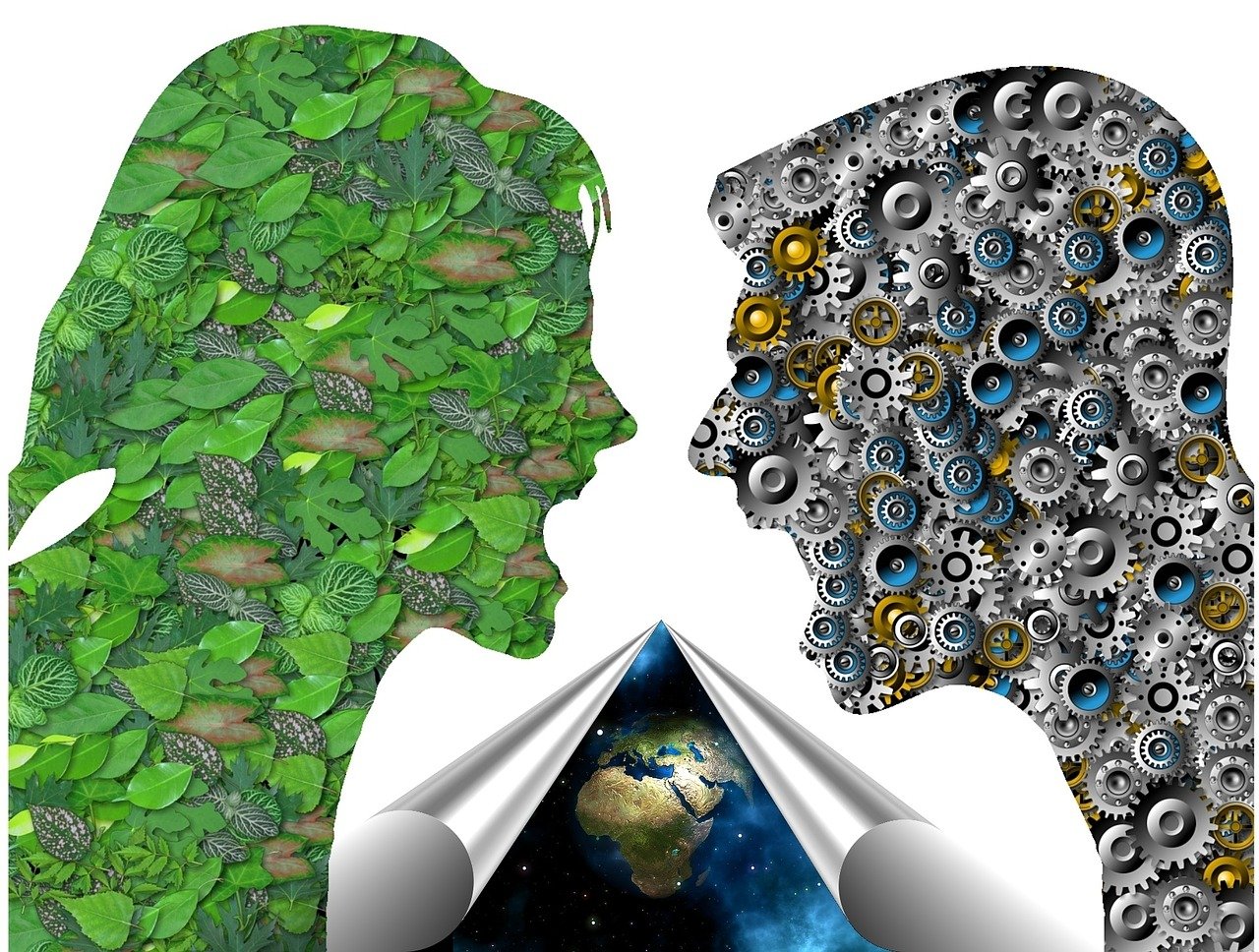 Jayjun最新面膜,科技与自然的融合,重塑肌肤新生态