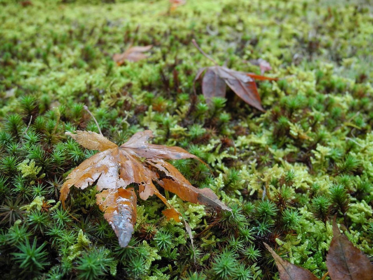 广丰区时事热点与发展动态,探寻最新新闻聚焦时事热点