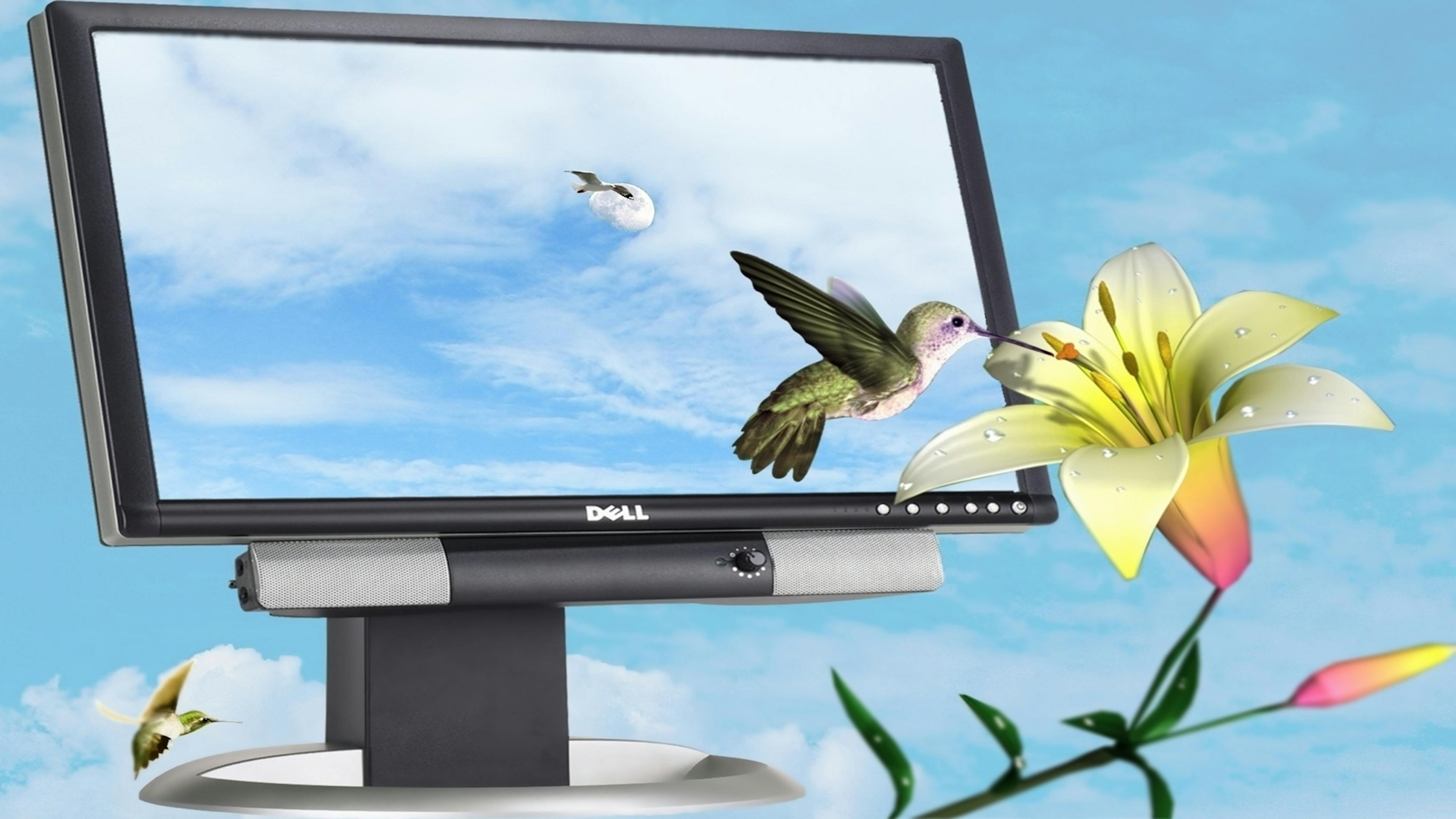 博兴最新新闻综述,县域发展新动态与社会热点解析